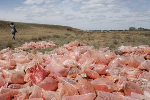 В Астраханской области ликвидировали свалку томатной пасты