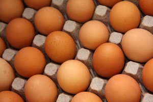 Дорого яичко к Христову дню: Регионы-лидеры по производству яиц