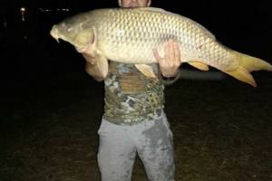 В Астрахани ночью поймали огромную рыбу