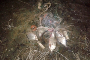 В Астраханской области задержаны трое мужчин, ловивших рыбу с помощью запрещенных орудий