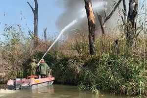 Пожар на Обжоровском участке астраханского заповедника ликвидирован