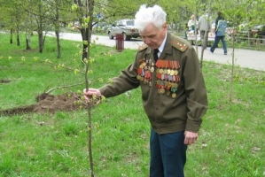 В рамках акции «Дерево Победы» в Астраханской области посадят 150 тысяч деревьев