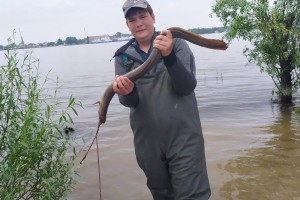 Астраханские рыбаки поймали золотую рыбку и странного «зверя»