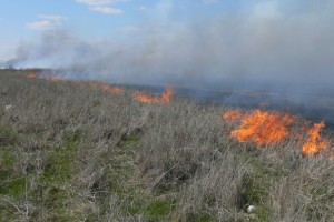 Астраханский МЧС объявил о чрезвычайной пожароопасности в регионе