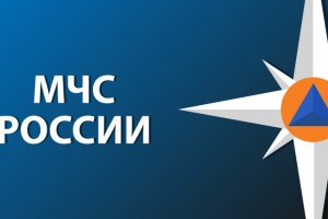 Пожарные МЧС России награждены орденом Мужества посмертно