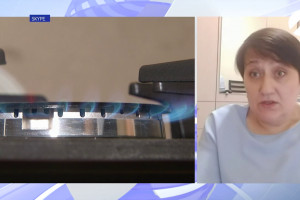 В Госдуме выступили с инициативой  отказаться от газа в пользу электричества
