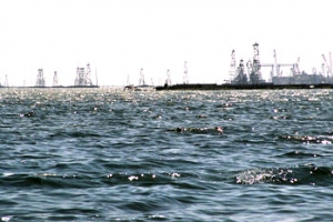 &amp;quot;Экологический саммит&amp;quot;: власти Прикаспийских государств в Астрахани обсудят экопроблемы Каспийского моря
