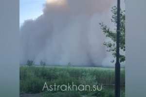 Астраханские садоводы рассказали, как пыльная буря повлияет на урожай