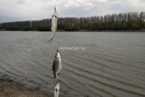 В Астраханской области заканчивается запрет на рыбалку