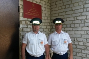 Сотрудники дорожно-патрульной службы задержали жителя областного центра за сбор дикорастущей конопли