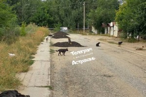 Жители улицы 8-ой Железнодорожной в Астрахани решили сами отремонтировать дорогу