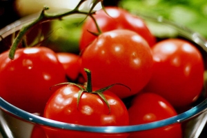 Приволжский район Астраханской области собрал 25 тысяч тонн томатов