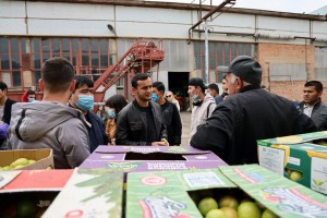 Астраханские аграрии обучат студентов из Узбекистана фермерскому делу