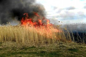 Беспилотники фиксируют возгорания сухой травы в&#160;Астраханской области и&#160;Калмыкии