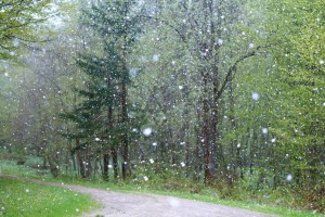 Завтра в Астрахани обещают дождь со снегом