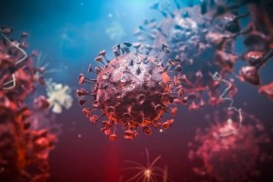 ВОЗ зафиксировал новый штамм коронавируса
