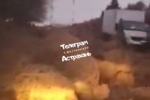 Астраханка сняла на видео нашествие перекати-поле в&#160;области