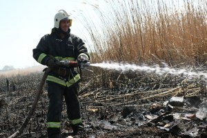 В Ленинском районе Астрахани загорелся тростник