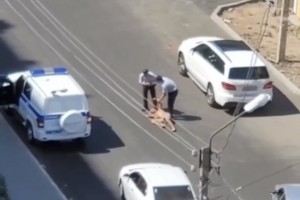В астраханской полиции прокомментировали инцидент с танцующим полуголым мужчиной на дороге