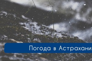 В Астрахани 2 января синоптики обещают дождь