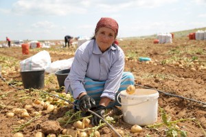 Требования к трудовым мигрантам упростили в Астраханской области