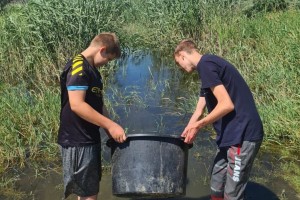 В Астраханской области продолжат спасать рыбную молодь