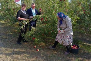 Яблоневый сад позволяет астраханскому храму платить за коммуналку