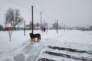 7 декабря снег в Астрахани будет идти целый день