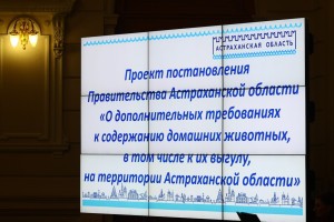 Новые правила содержания домашних животных установят в&#160;Астраханской области