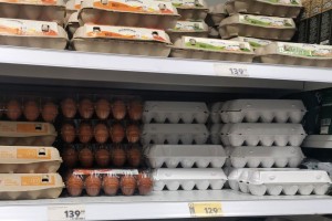 В Росптицесоюзе сделали прогноз по ценам на яйца
