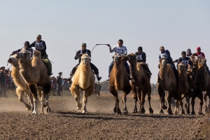 Верблюжьи бега и этноярмарка "Южный базар" прошли в Астраханской области