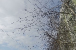 3 февраля погода в Астрахани будет нестабильной