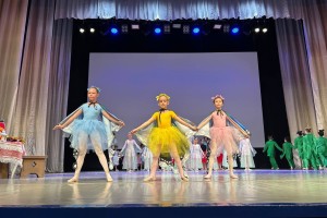 Благодаря нацпроекту социальный предприниматель развивает школу балета