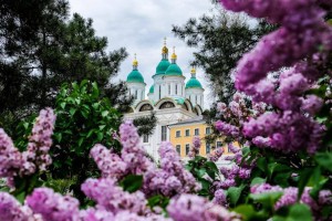 Астраханская область вошла в топ‑5 по популярности санаторного отдыха в ЮФО