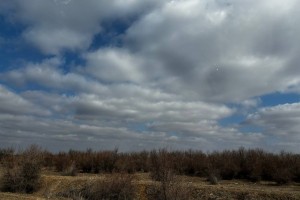 11 марта в Астрахани будет пасмурно и ветрено