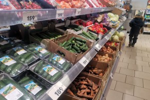 Под Астраханью начали собирать тепличные огурцы: какие цены на овощ в&#160;магазинах