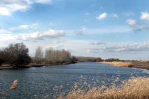В Астраханской области резко поднялся уровень воды в&#160;Волге