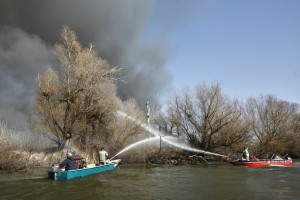 На данный момент в Астраханском заповеднике возгораний не зафиксировано