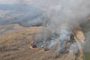 В Астраханском заповеднике тушат серьезный пожар