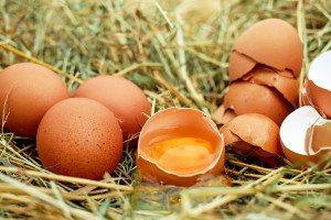 В Астраханской области выросло производство яиц