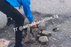 В Астрахани водитель &#171;синего&#187; автобуса самостоятельно заделал яму на дороге