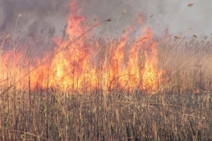 Штормовое предупреждение о возможности возникновения ландшафтных пожаров