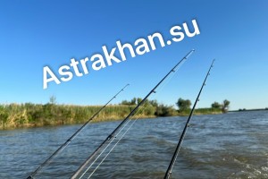 Сколько стоит рыбалка в Астраханской области? Сколько стоит рыбалка в Астраханской области?