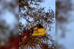 Астраханцы спасли котенка с дерева – и показали, что герои живут среди нас Астраханцы спасли котенка с дерева – и показали, что герои живут среди нас