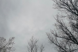 29 октября в Астраханской области ожидается дождь и туман 29 октября в Астраханской области ожидается дождь и туман