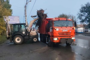 В Астрахани за месяц зачистили более 500 свалок В Астрахани за месяц зачистили более 500 свалок