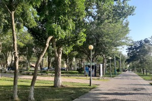 В России появится новый праздник, который будут отмечать весной В России появится новый праздник, который будут отмечать весной