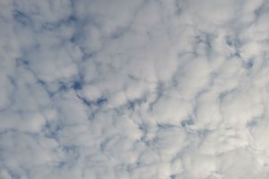 6 ноября в Астраханской области ожидается переменная облачность