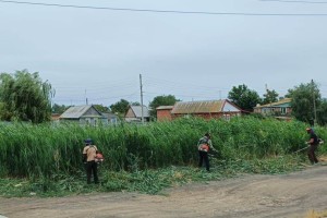 В Астрахани продолжается скос сорняков и камыша В Астрахани продолжается скос сорняков и камыша