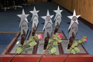 Награждение победителей конкурса журналистских работ фестиваля "Созвездия мужества-2015"